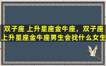 双子座 上升星座金牛座，双子座上升星座金牛座男生会找什么女生